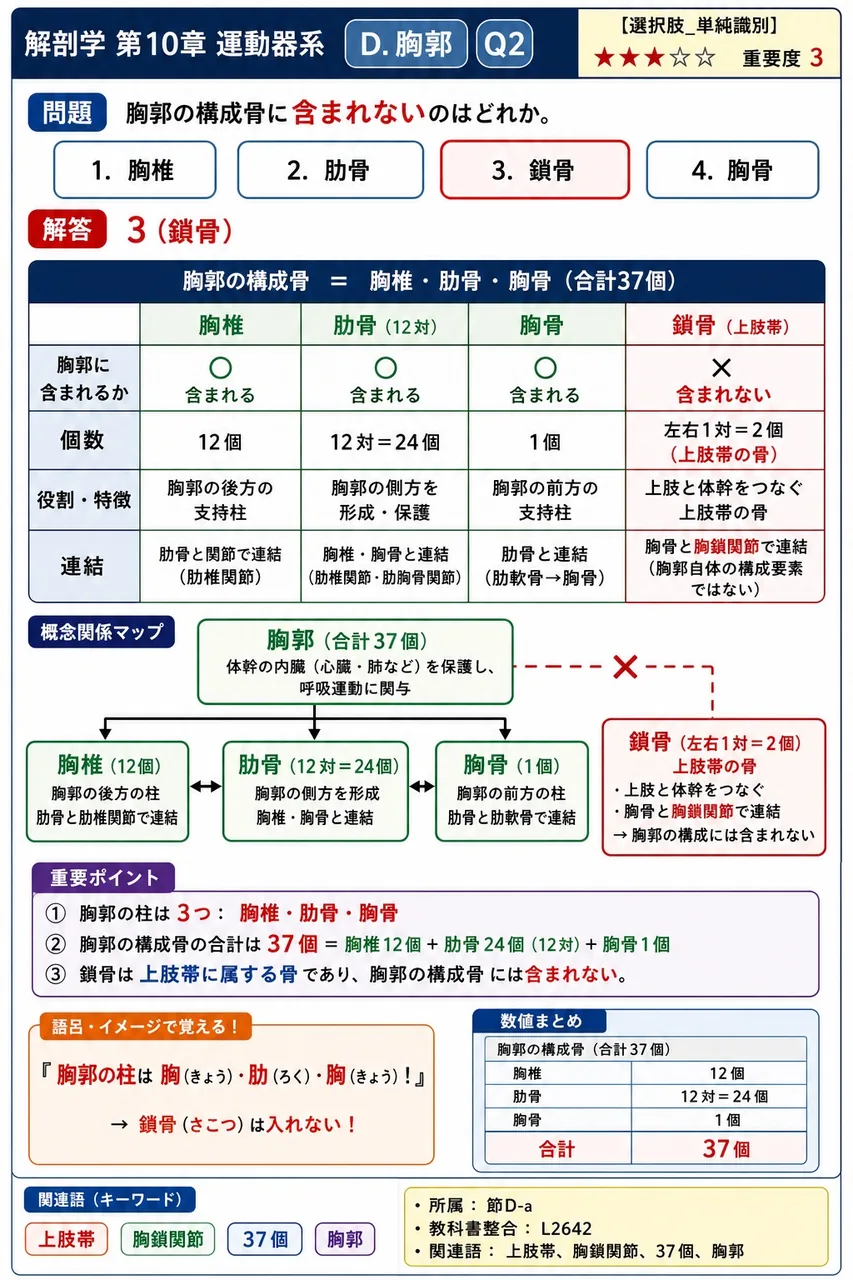 胸郭下口は何という骨格筋の起始部となっているか。 解説図
