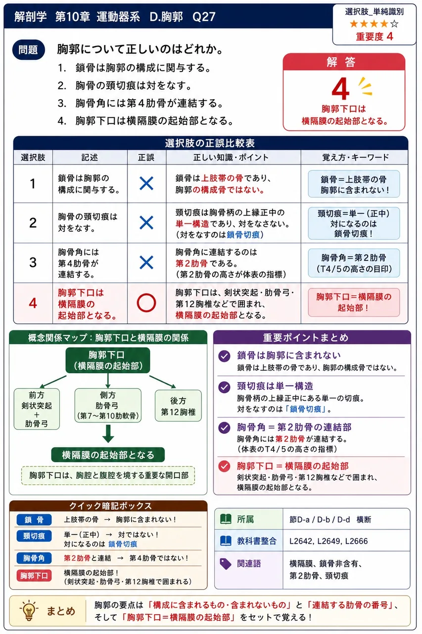 胸郭について正しいのはどれか。 解説図