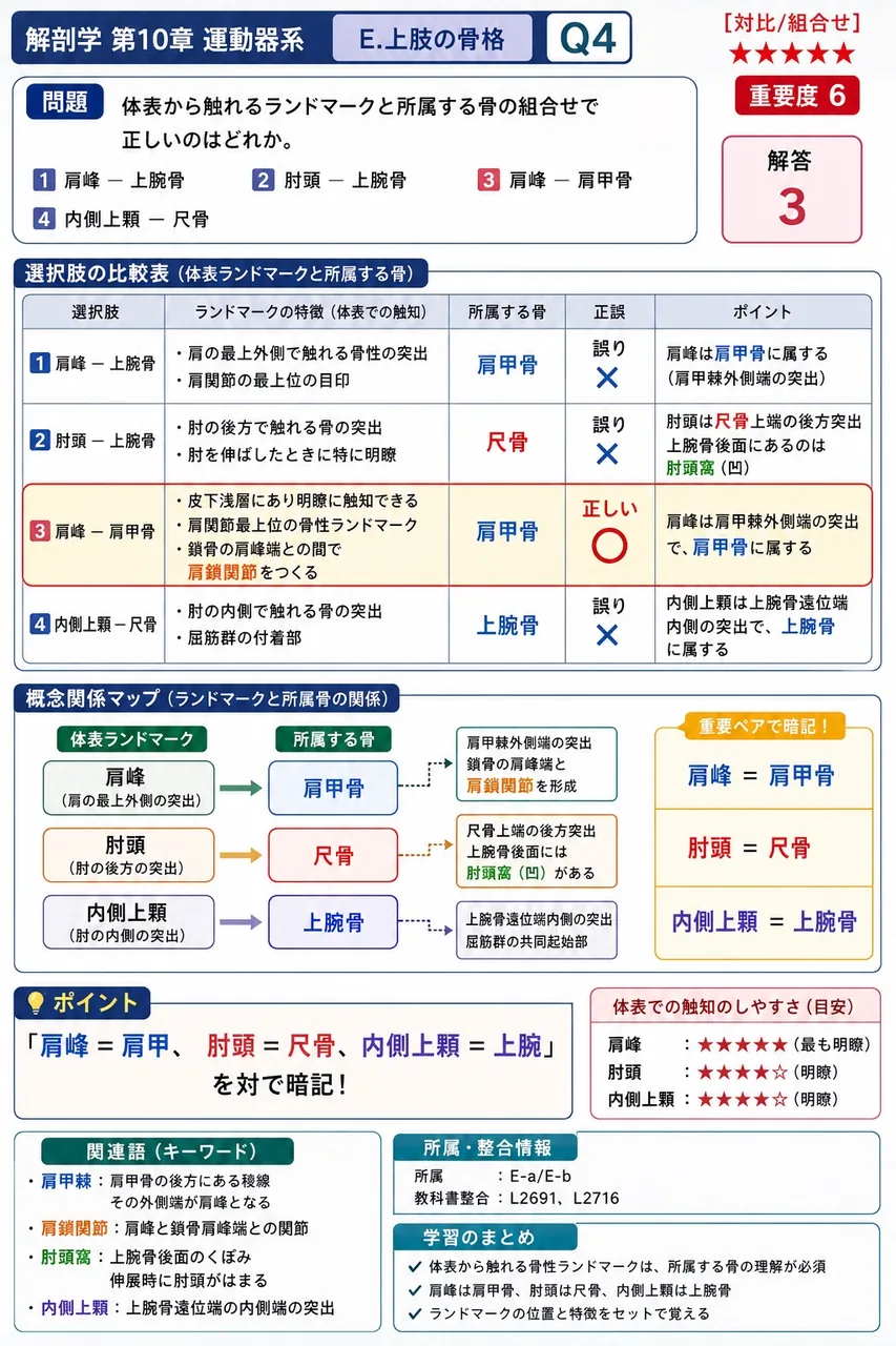 体表から触れるランドマークと所属する骨の組合せで正しいのはどれか。 解説図