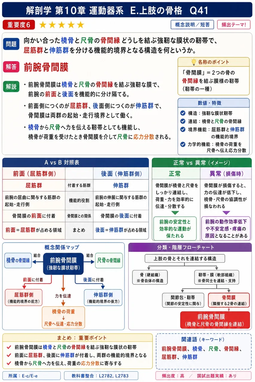 上腕骨にみられないのはどれか。 解説図