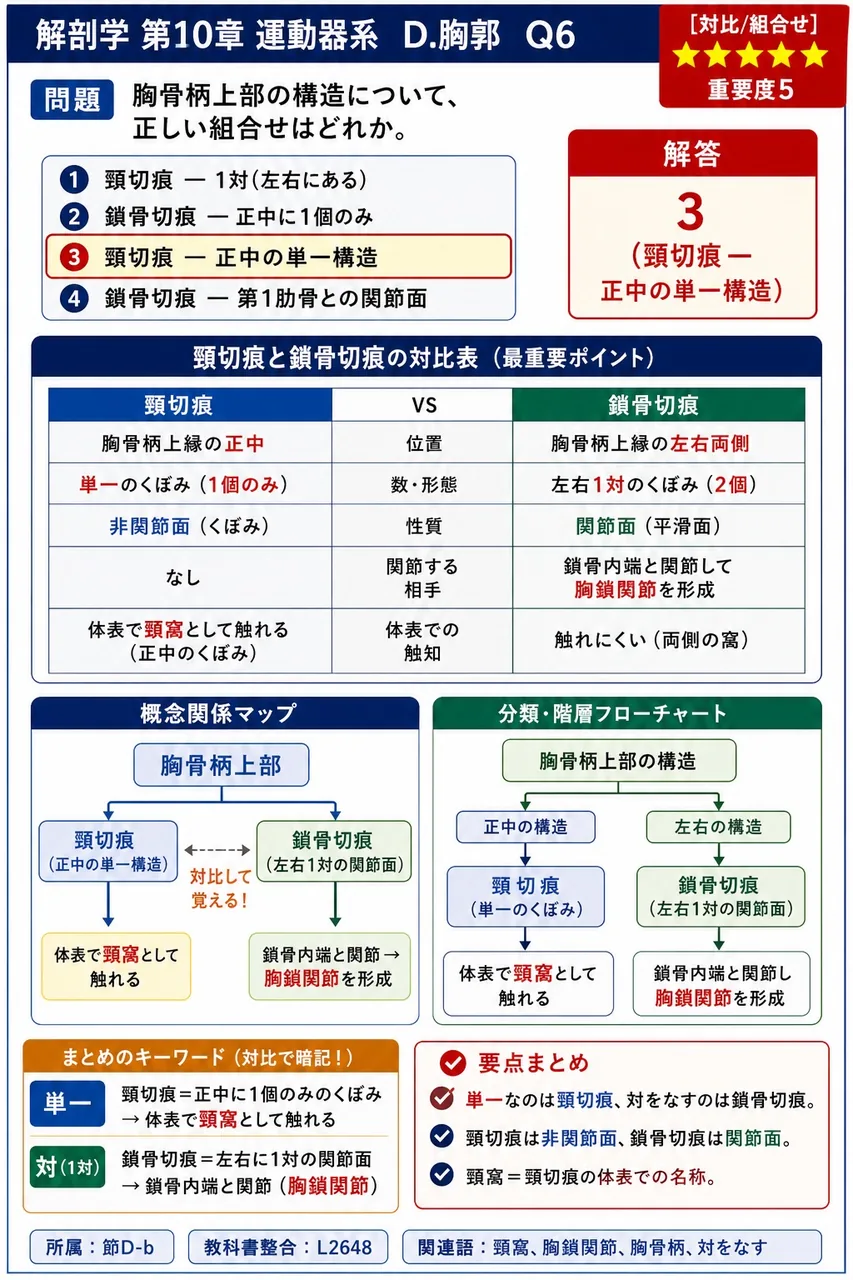 上腕骨の大結節と小結節との間にあり、上腕二頭筋長頭腱が走行する縦溝を何というか。 解説図
