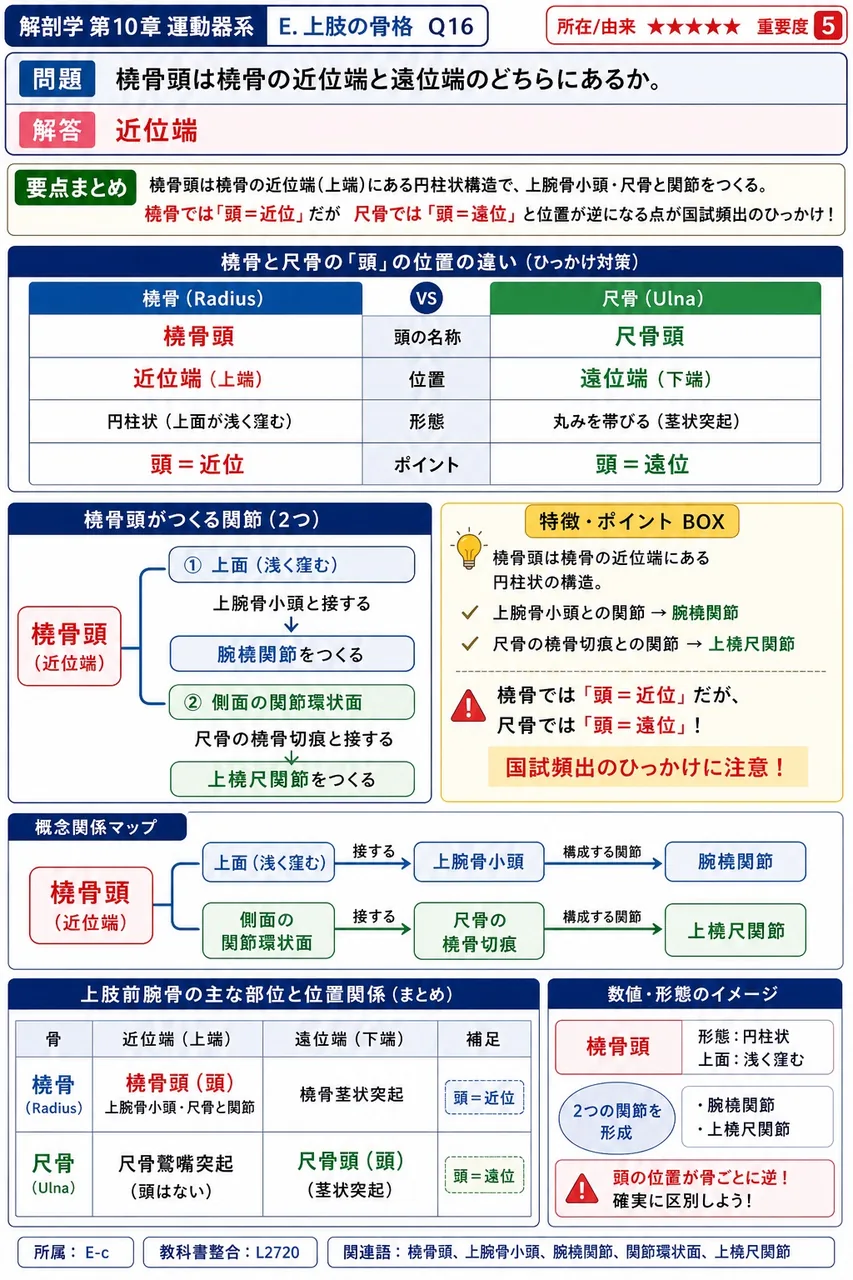 手根骨の遠位列にあるのはどれか。 解説図