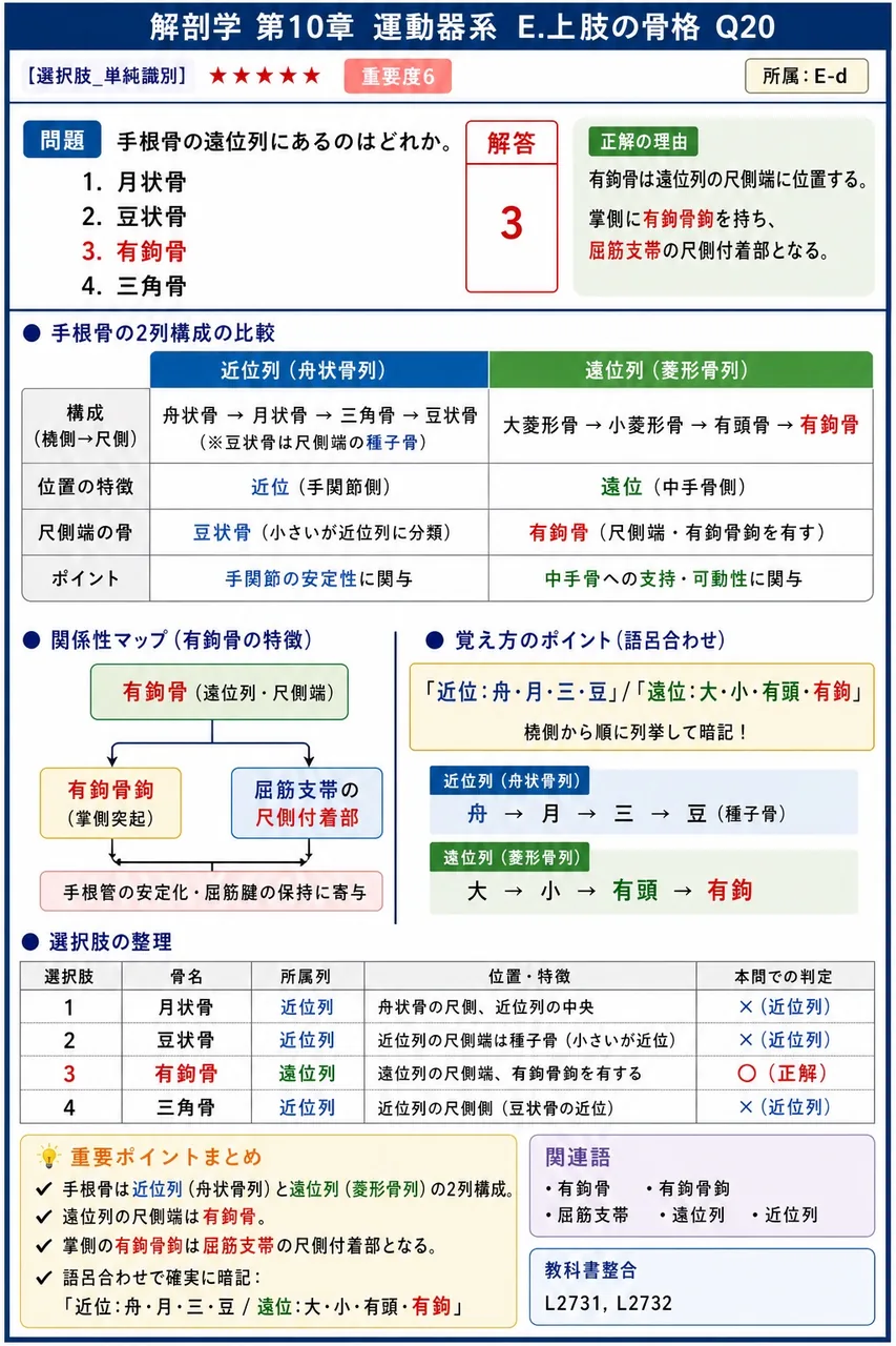 豆状骨について正しいのはどれか。 解説図