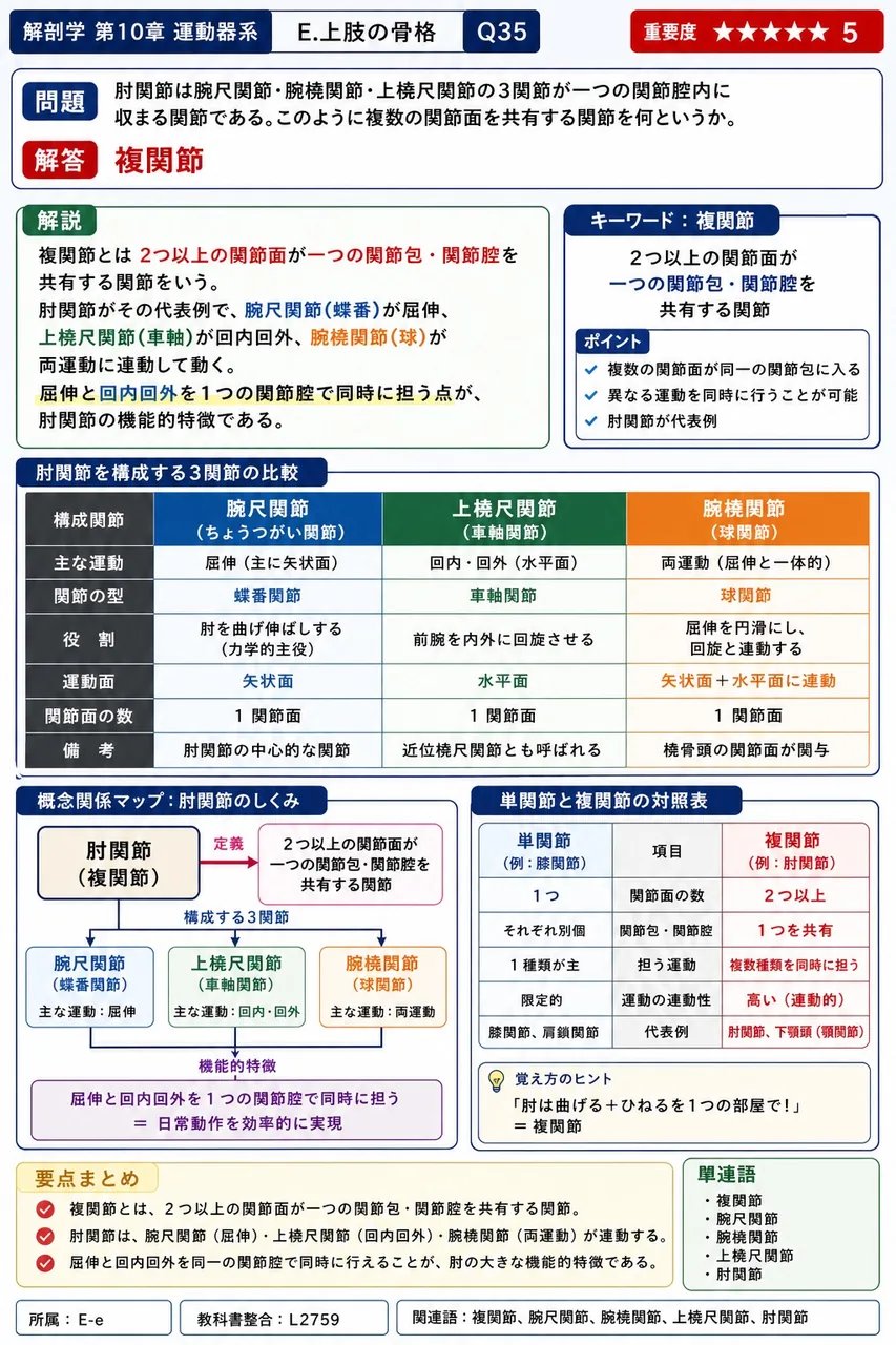 肘関節は腕尺関節・腕橈関節・上橈尺関節の3関節が一つの関節腔内に収まる関節である。このように複数の関節面を共有する関節を何というか。 解説図