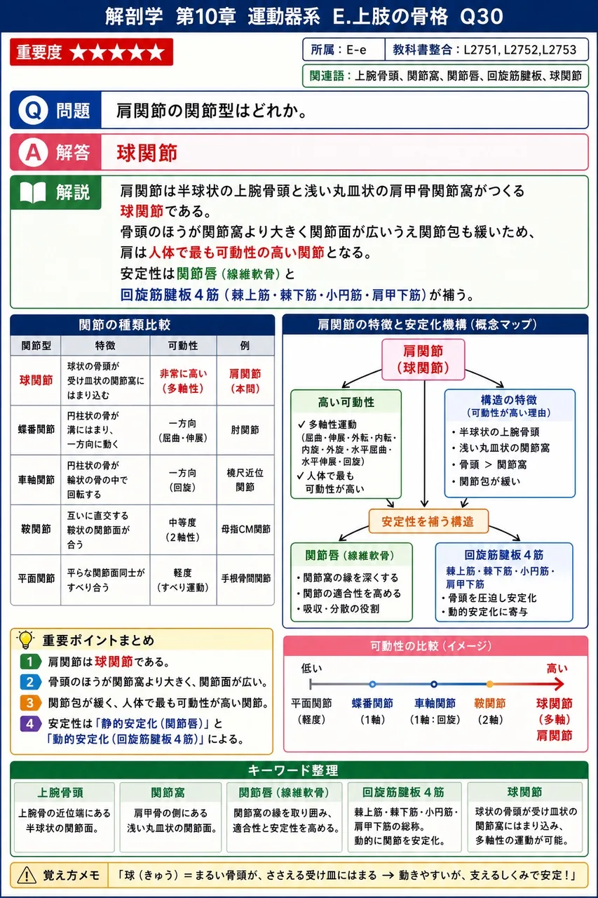 関節と関節型の組合せで正しいのはどれか。 解説図