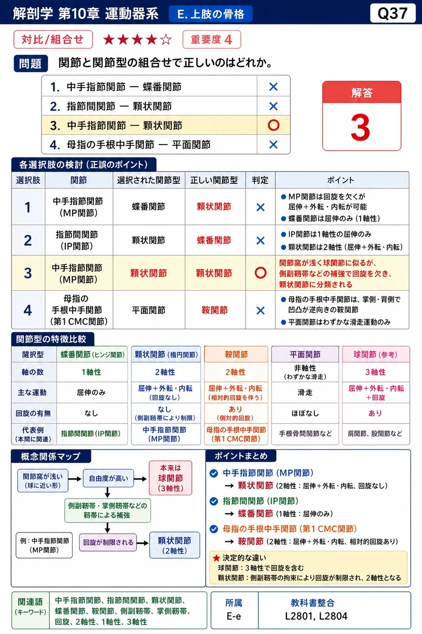 向かい合った橈骨と尺骨の骨間縁どうしを結ぶ強靭な膜状の靭帯で、屈筋群と伸筋群を分ける機能的境界となる構造を何というか。 解説図