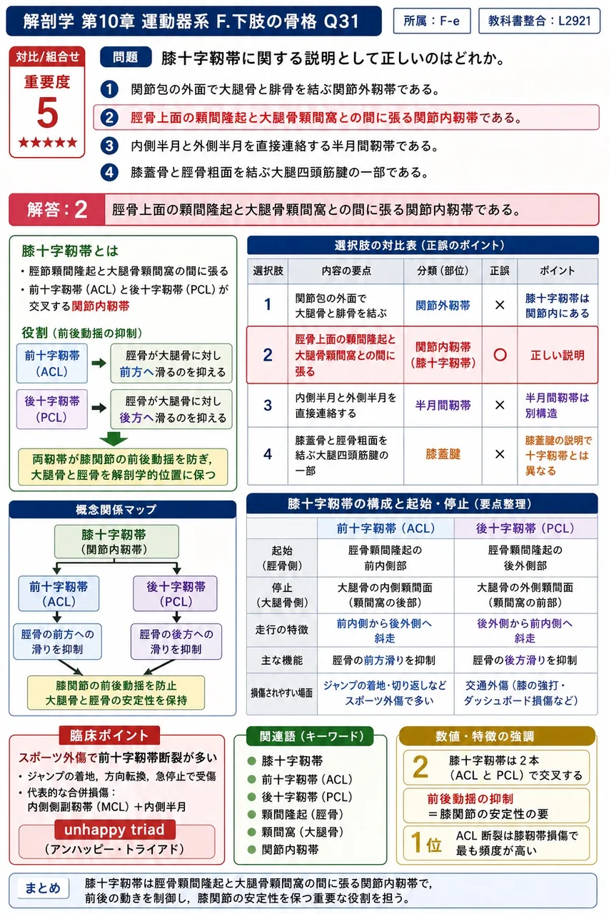 大坐骨切痕を閉ざして大坐骨孔を完成させる靱帯はどれか。 解説図