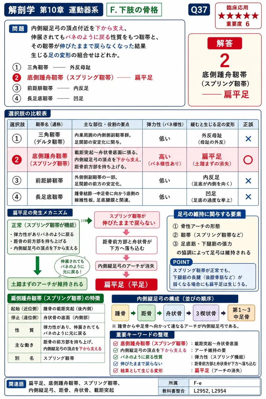 寛骨で体表から触れない部位はどれか。 解説図