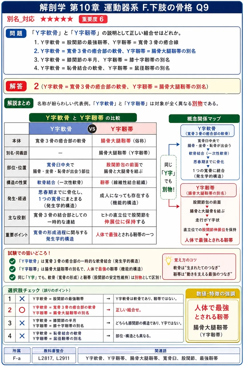 「Y字軟骨」と「Y字靱帯」の説明として正しい組合せはどれか。 解説図