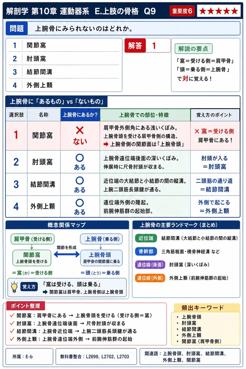 骨盤の性差について正しい組合せはどれか。 解説図