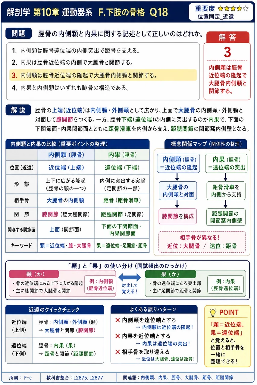 脛骨の内側顆と内果に関する記述として正しいのはどれか。 解説図