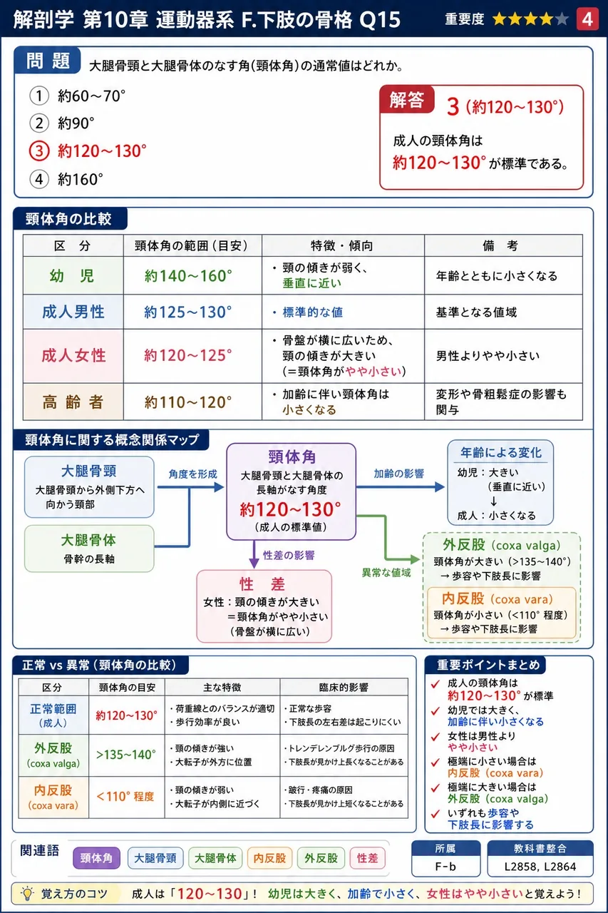 脛骨と腓骨の連結様式の組合せで正しいのはどれか。 解説図
