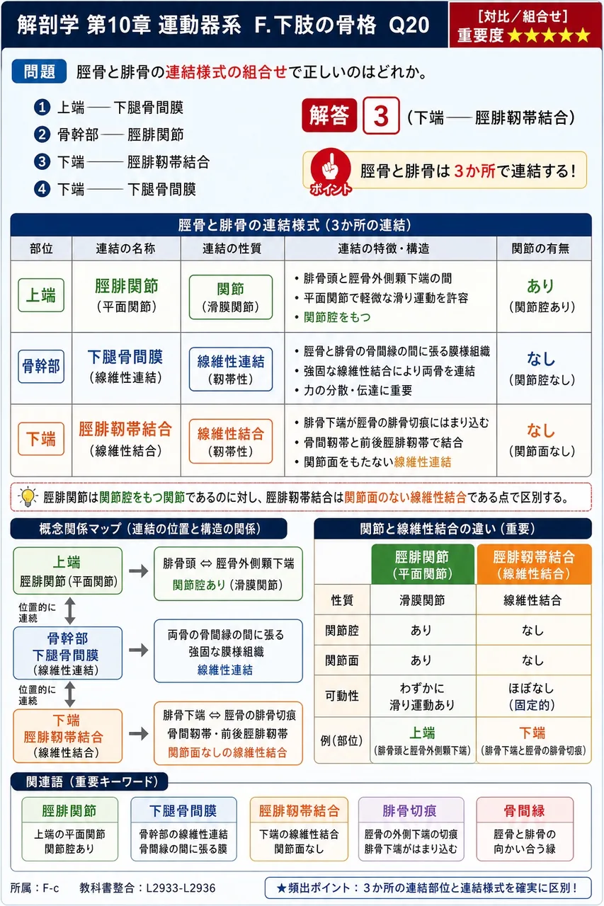 距骨と関節をつくらない骨はどれか。 解説図