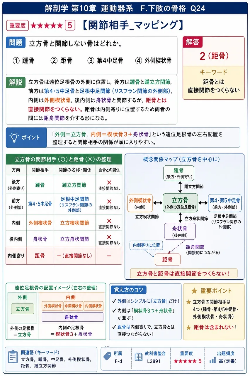 立方骨と関節しない骨はどれか。 解説図