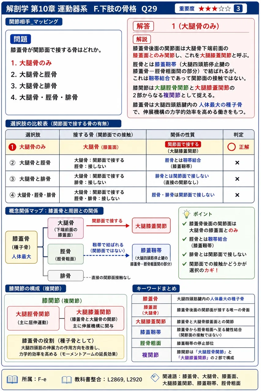 距腿関節の内側を補強する靱帯はどれか。 解説図