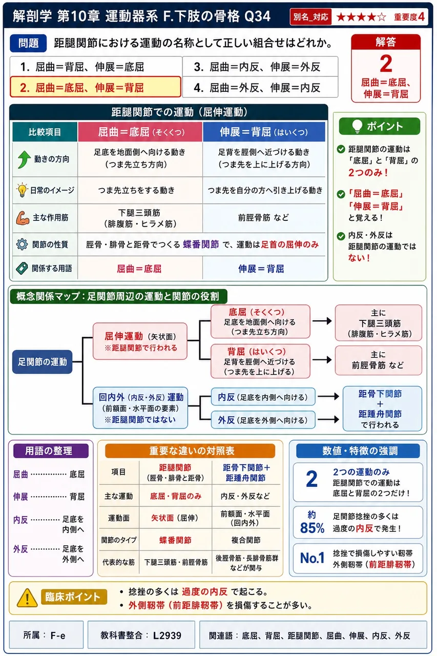 距腿関節における運動の名称として正しい組合せはどれか。 解説図