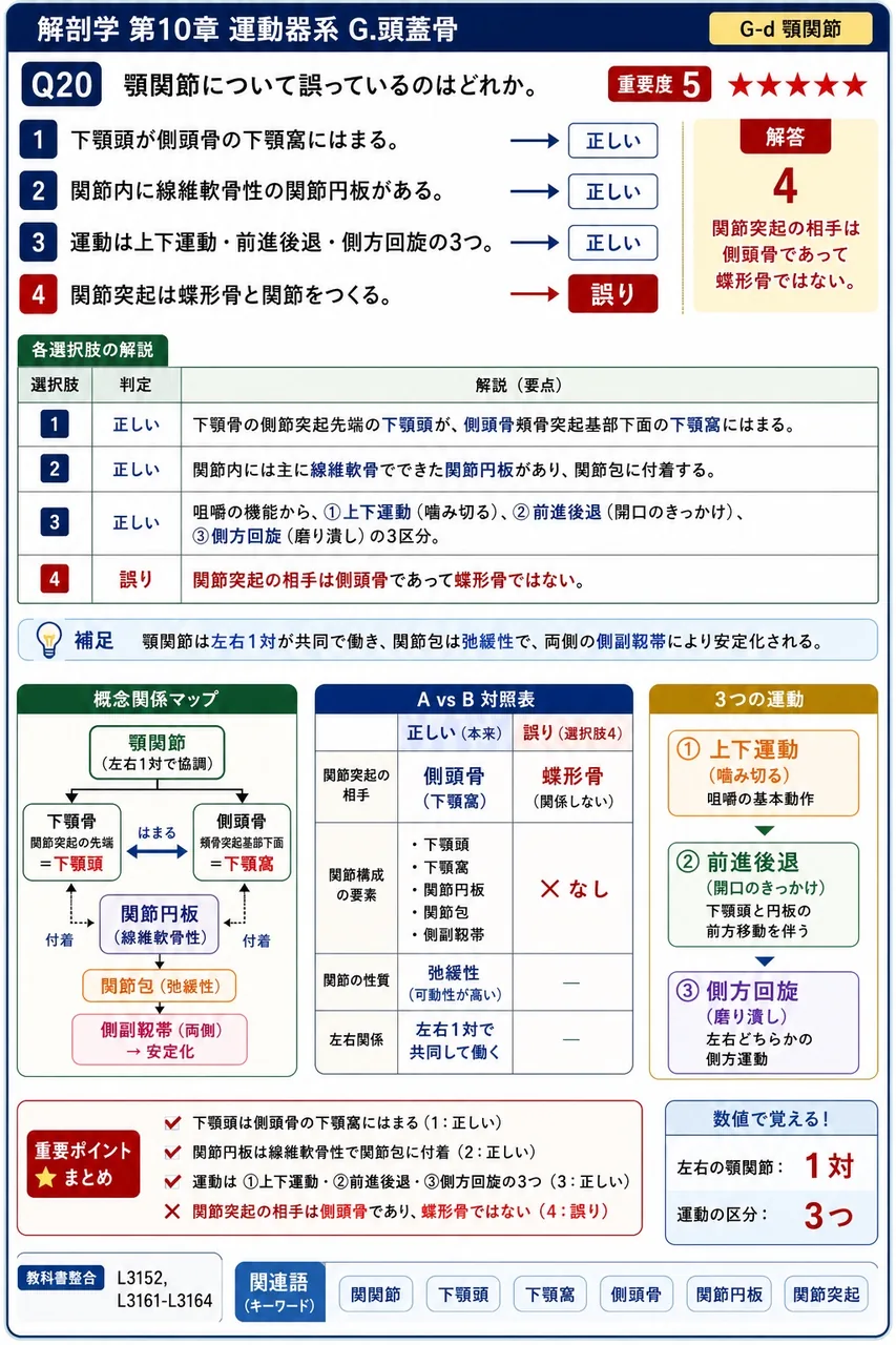 頭蓋骨について正しいのはどれか。 解説図