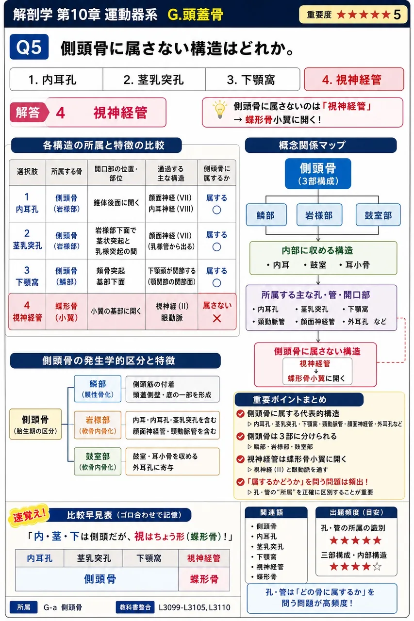 側頭骨に属さない構造はどれか。 解説図