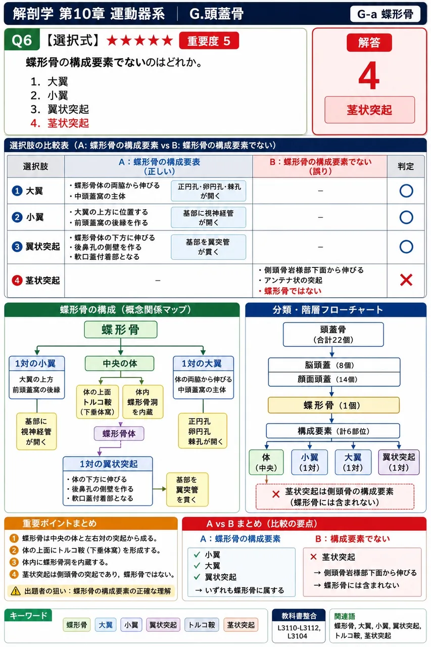 蝶形骨の構成要素でないのはどれか。 解説図