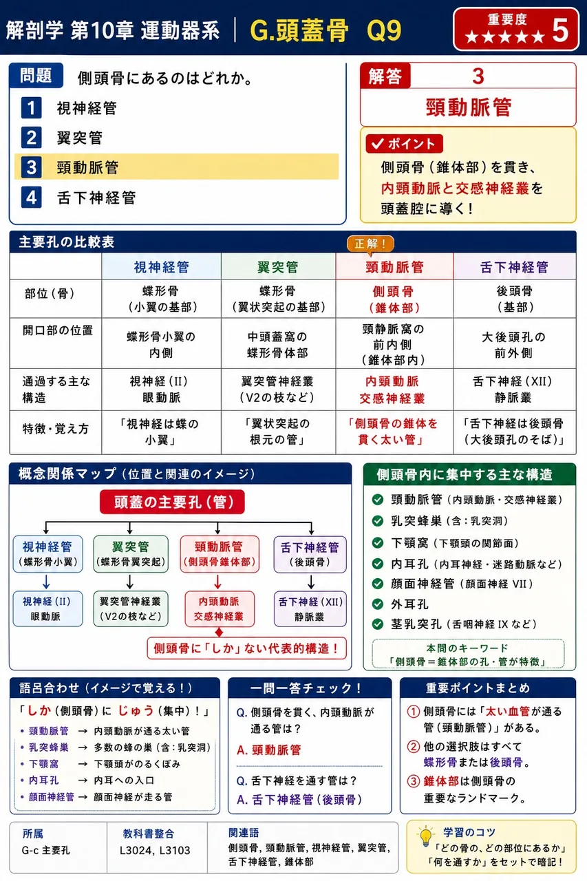 側頭骨にあるのはどれか。 解説図