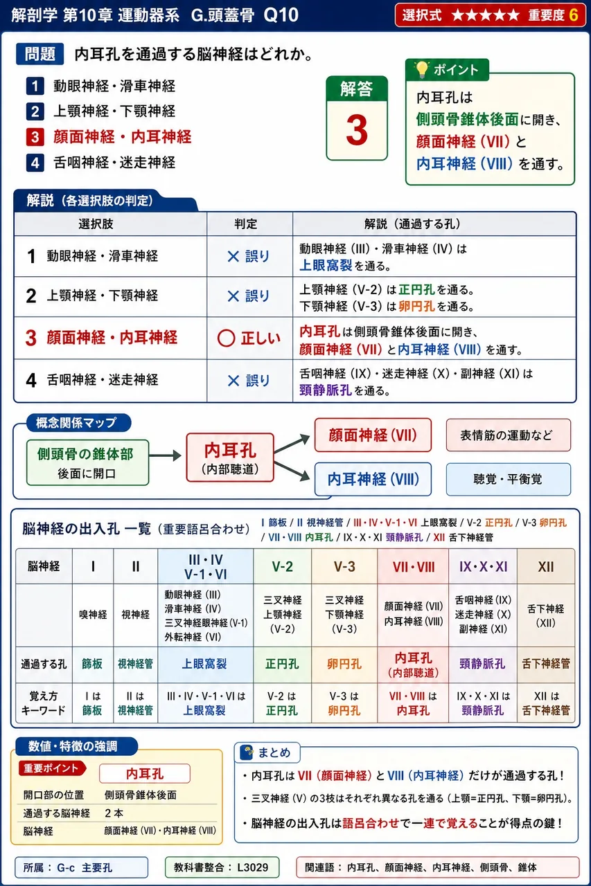 内耳孔を通過する脳神経はどれか。 解説図