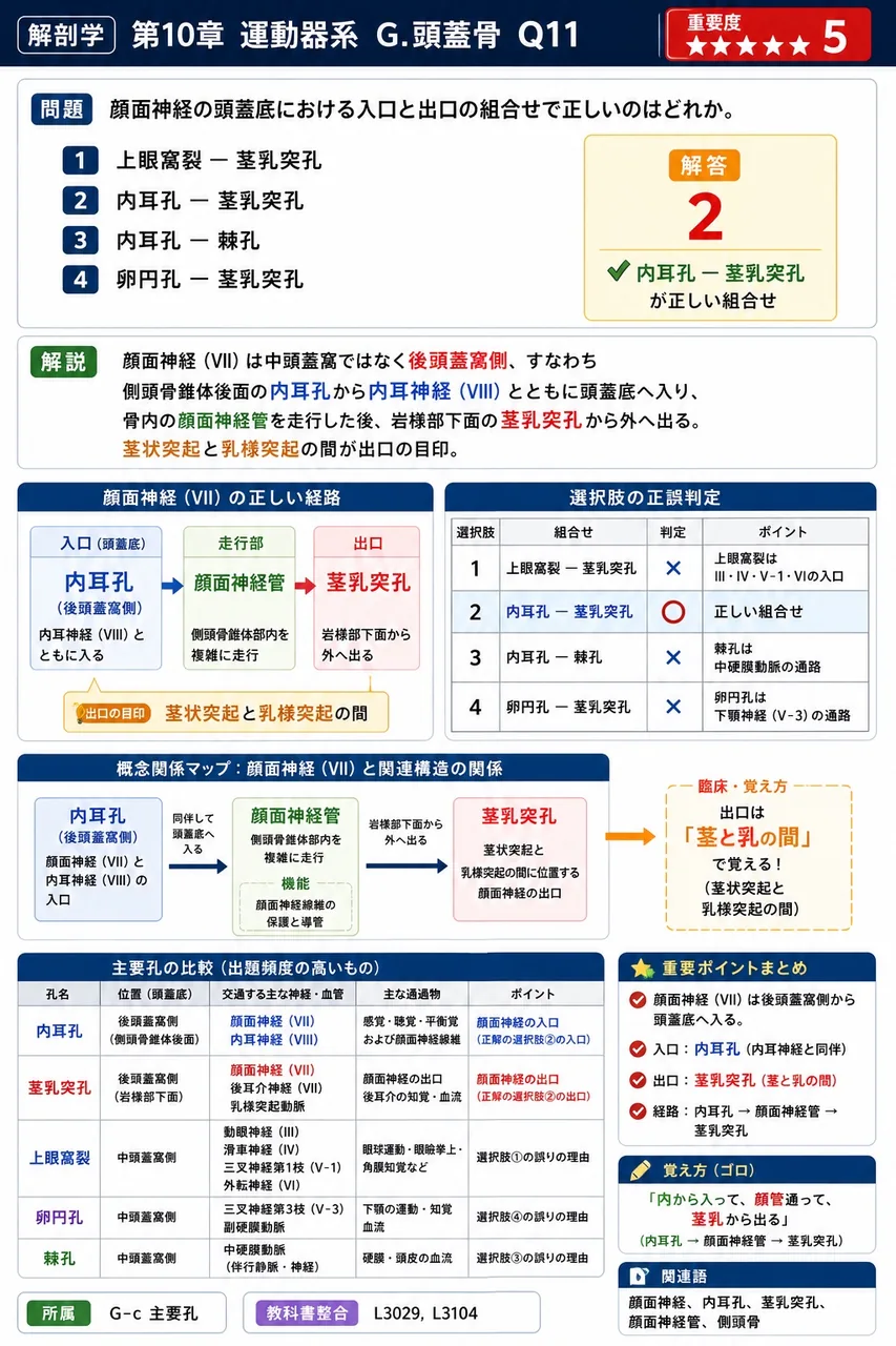 顔面神経の頭蓋底における入口と出口の組合せで正しいのはどれか。 解説図
