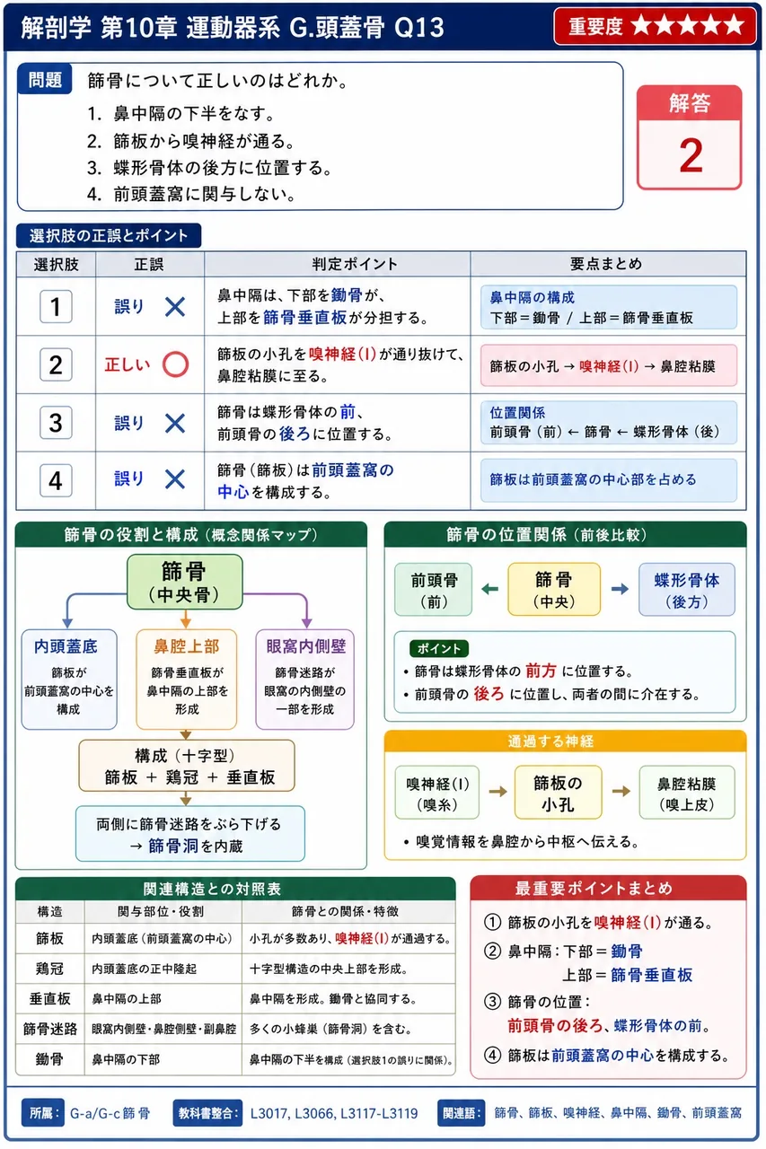 篩骨について正しいのはどれか。 解説図