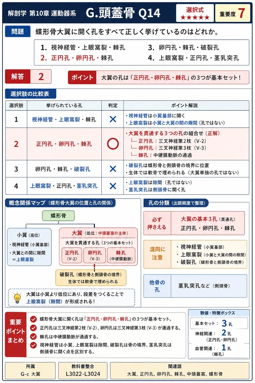 蝶形骨大翼に開く孔をすべて正しく挙げているのはどれか。 解説図