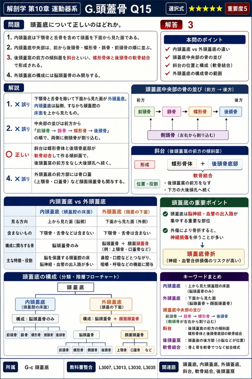 頭蓋底について正しいのはどれか。 解説図