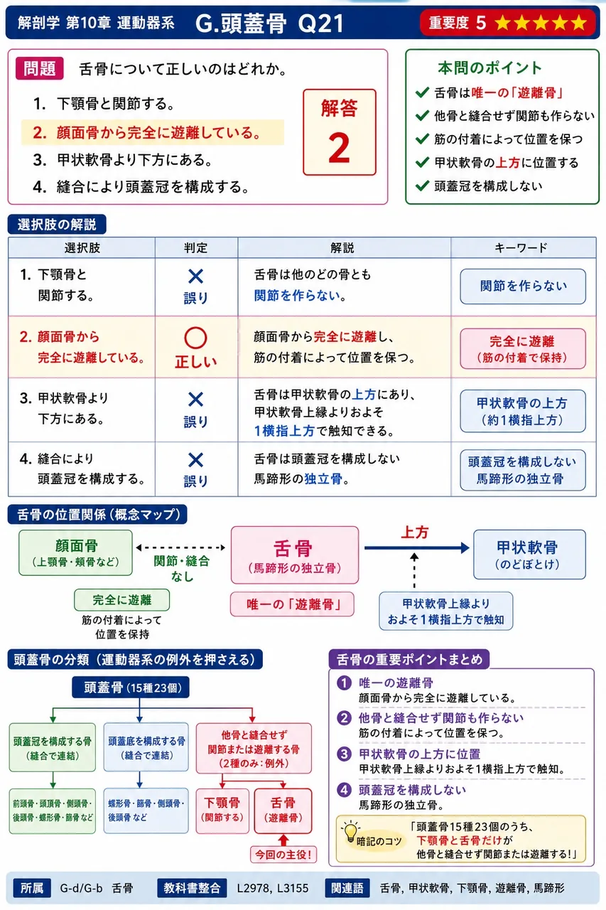 舌骨について正しいのはどれか。 解説図
