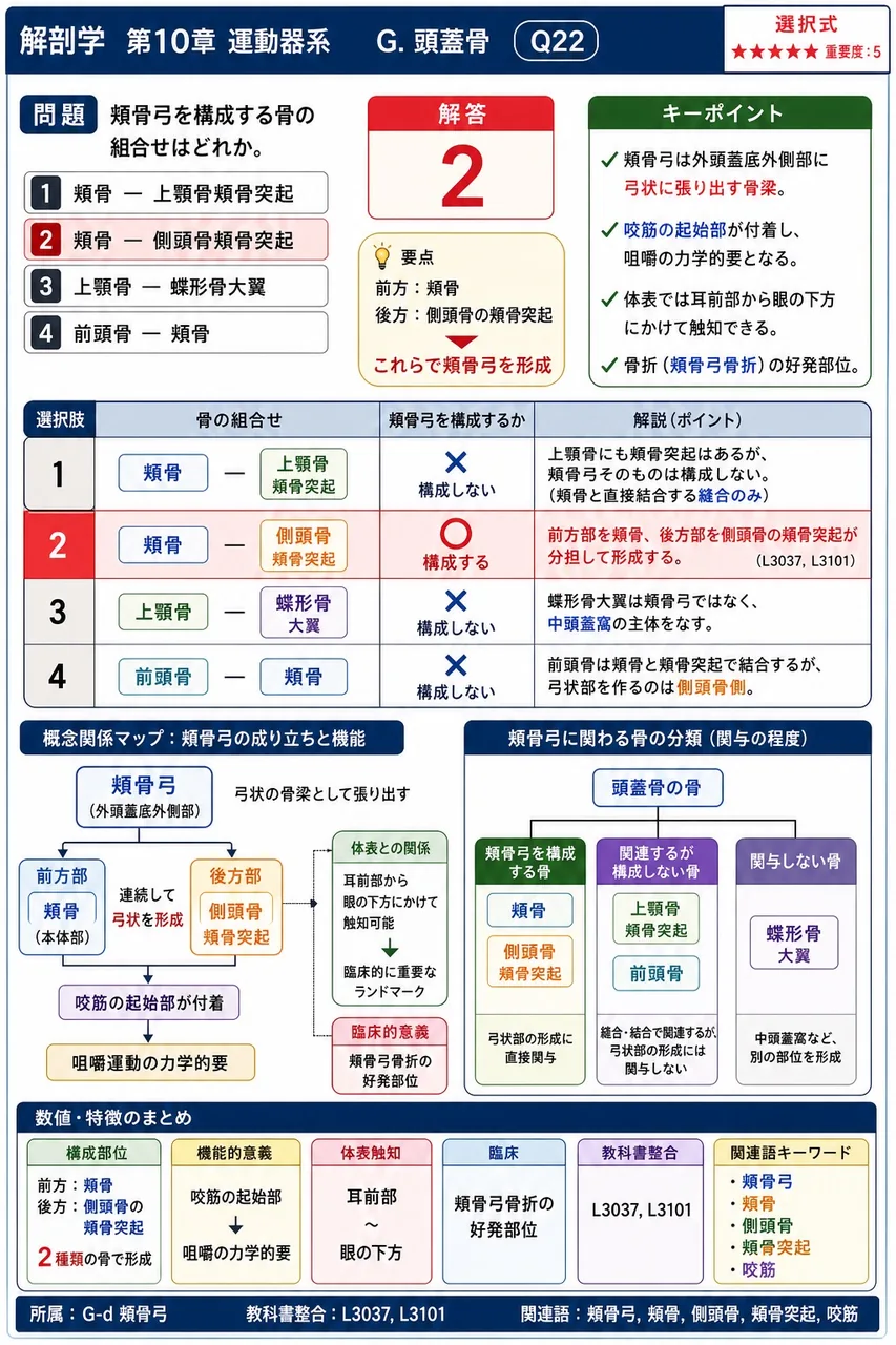 頬骨弓を構成する骨の組合せはどれか。 解説図