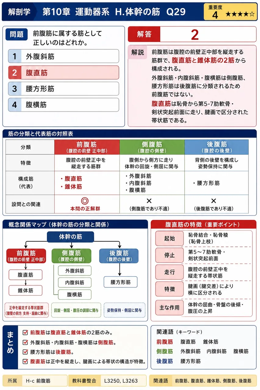 浅胸筋について正しいのはどれか。 解説図