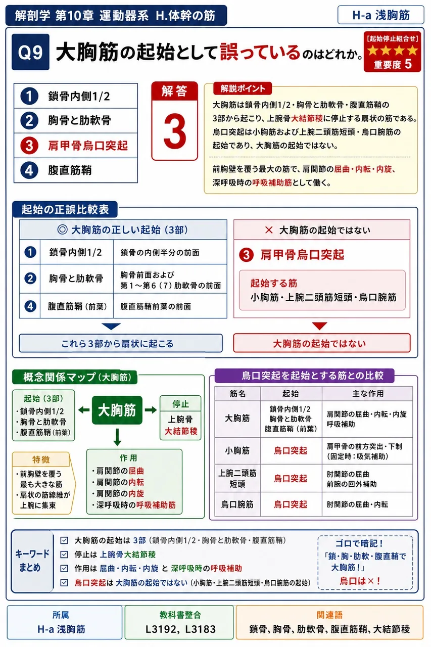 大胸筋の起始として誤っているのはどれか。 解説図