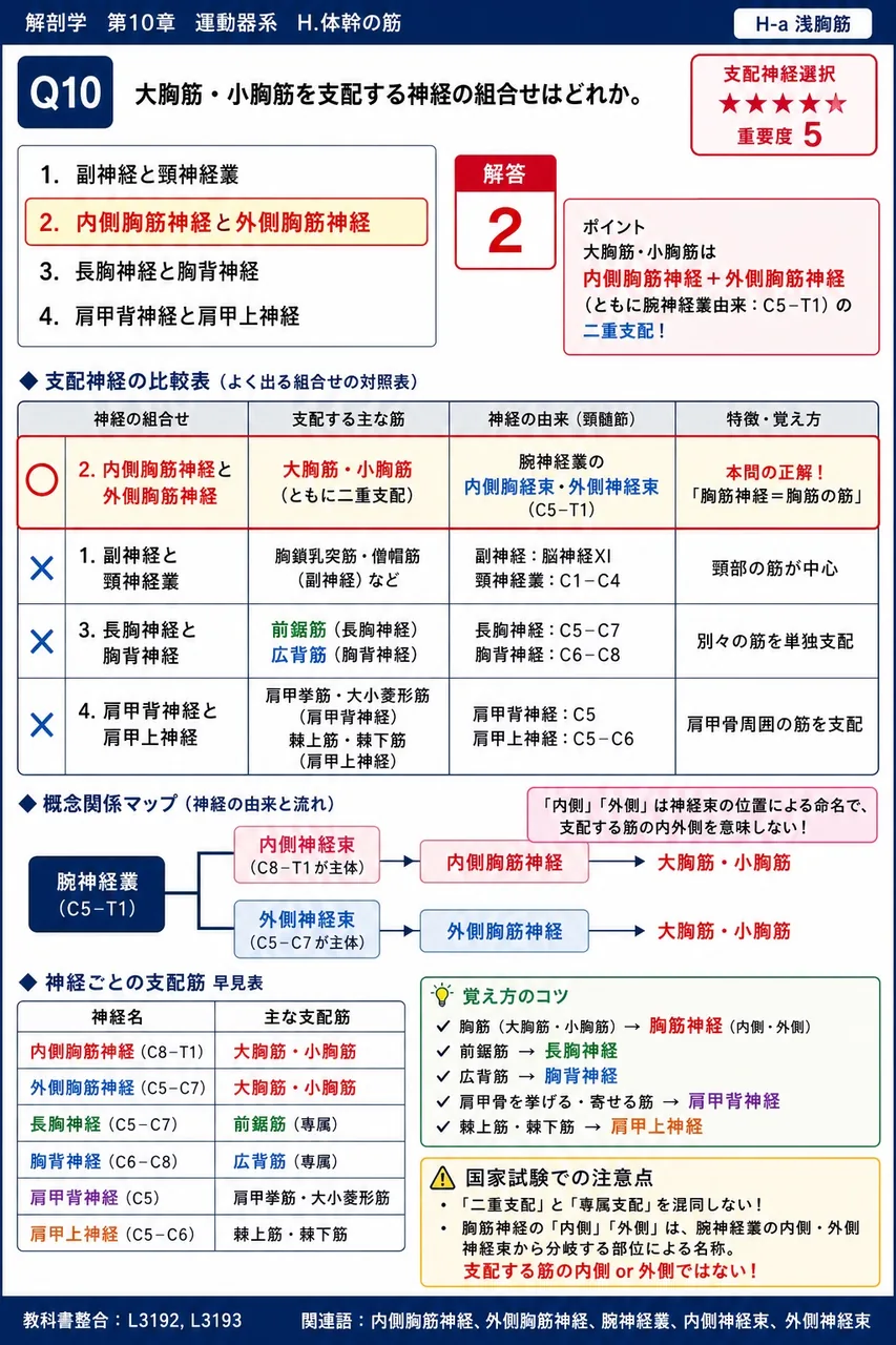 大胸筋・小胸筋を支配する神経の組合せはどれか。 解説図
