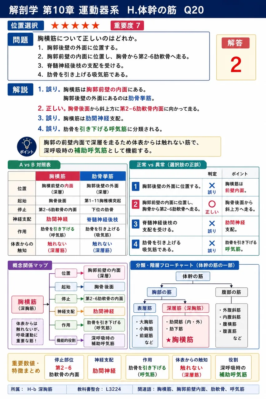 胸横筋について正しいのはどれか。 解説図