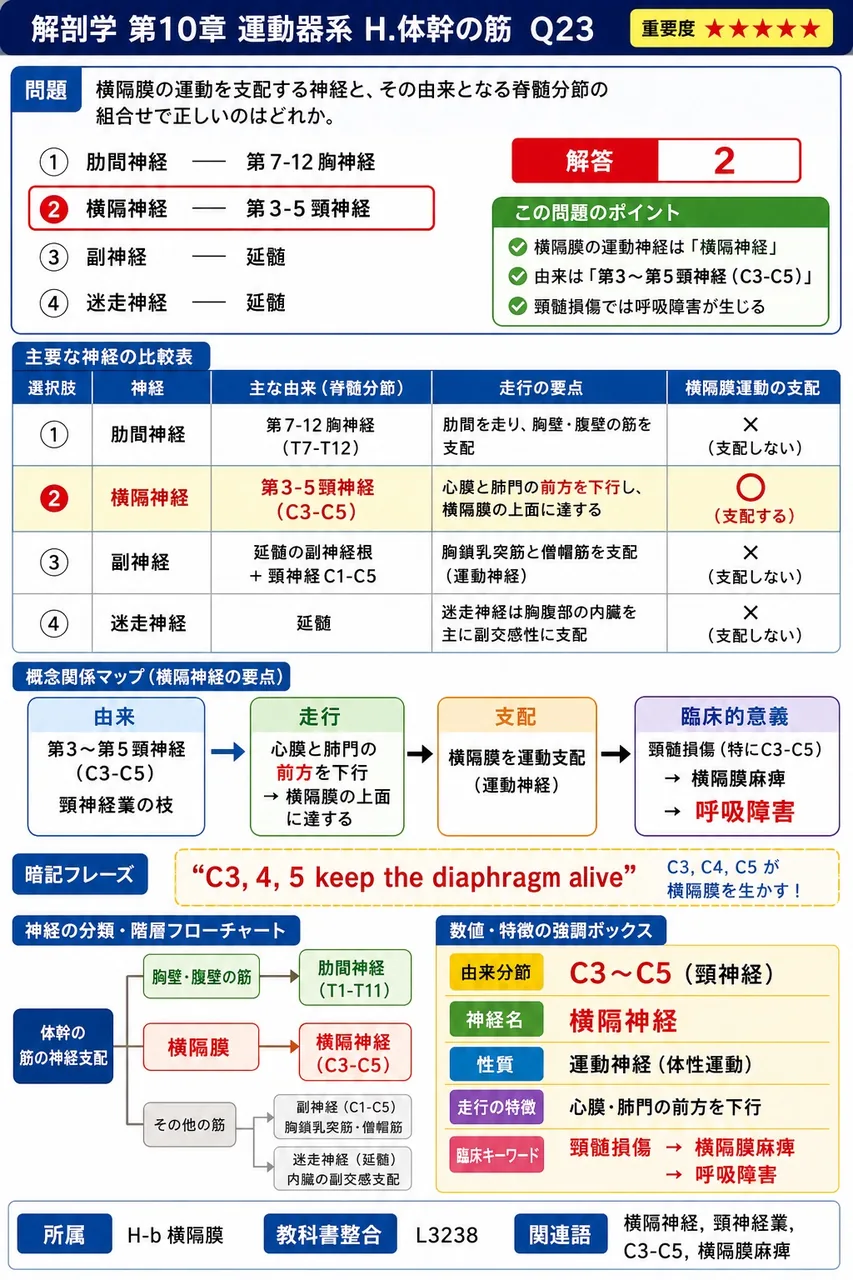 横隔膜の起始は3部に分けられる。腰椎部・肋骨部と、もう1部は何か。 解説図
