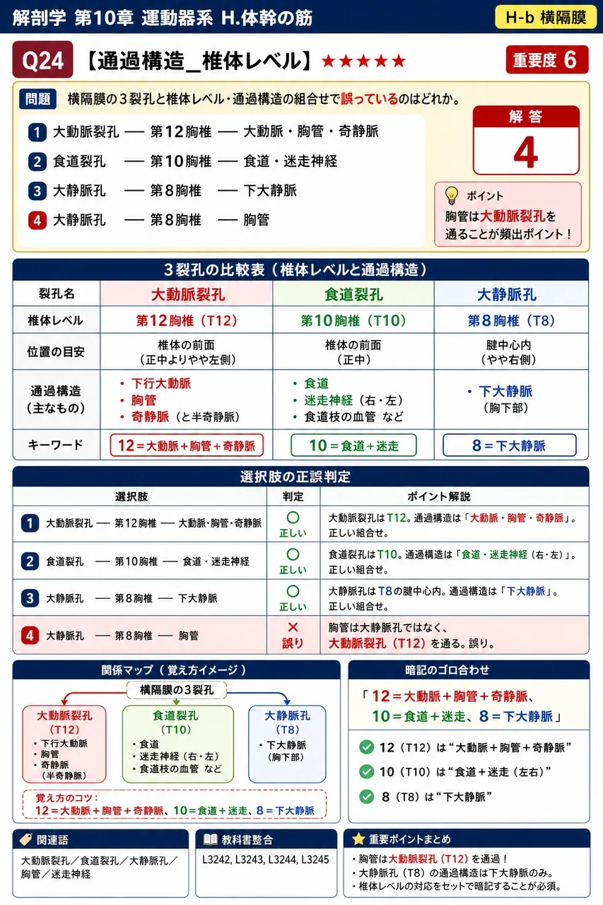 横隔膜の3裂孔と椎体レベル・通過構造の組合せで誤っているのはどれか。 解説図