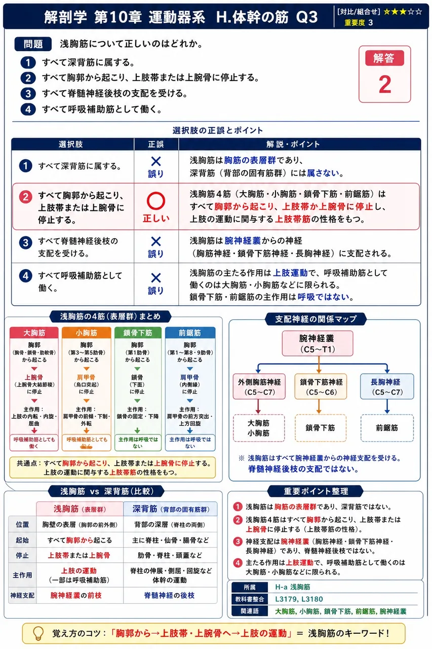 鼠径靱帯はどの筋の停止腱膜が肥厚して形成されたものか。 解説図