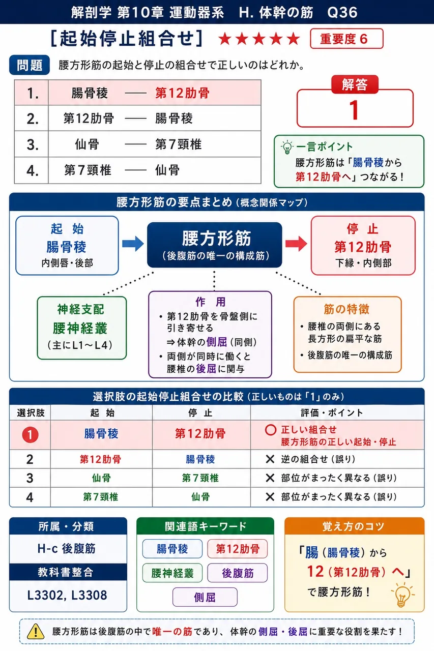 腰方形筋の起始と停止の組合せで正しいのはどれか。 解説図