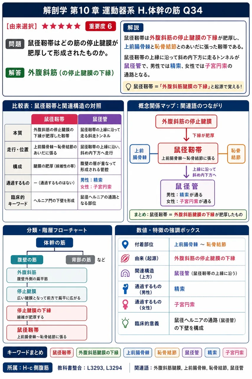 腋窩の後壁を構成する筋として正しいのはどれか。 解説図