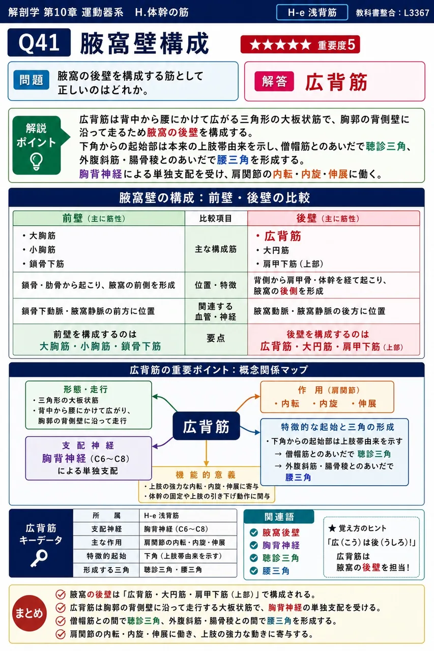 頸板状筋の停止部として正しいのはどれか。 解説図