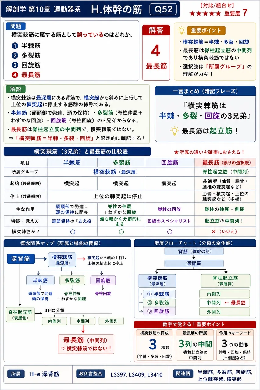 横突棘筋に属する筋として誤っているのはどれか。 解説図