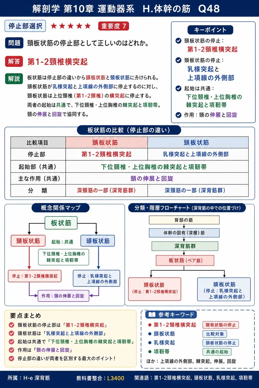 小菱形筋と大菱形筋の起始部の組合せで正しいのはどれか。 解説図