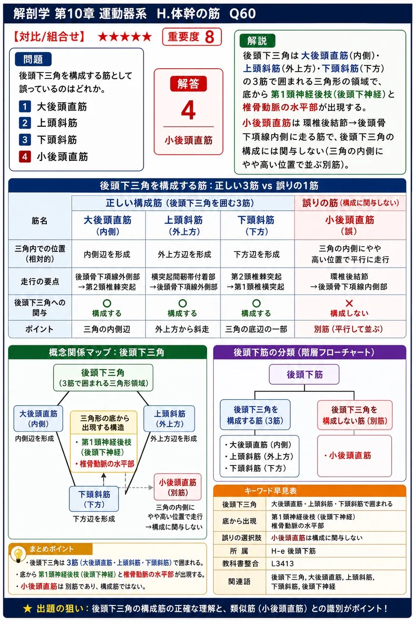 後頭下三角を構成する筋として誤っているのはどれか。 解説図