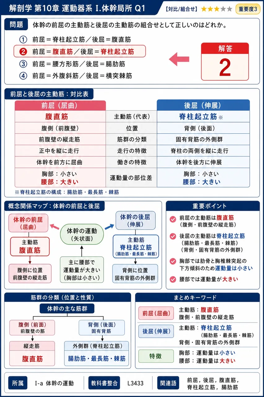 体幹の前屈の主動筋と後屈の主動筋の組合せとして正しいのはどれか。 解説図