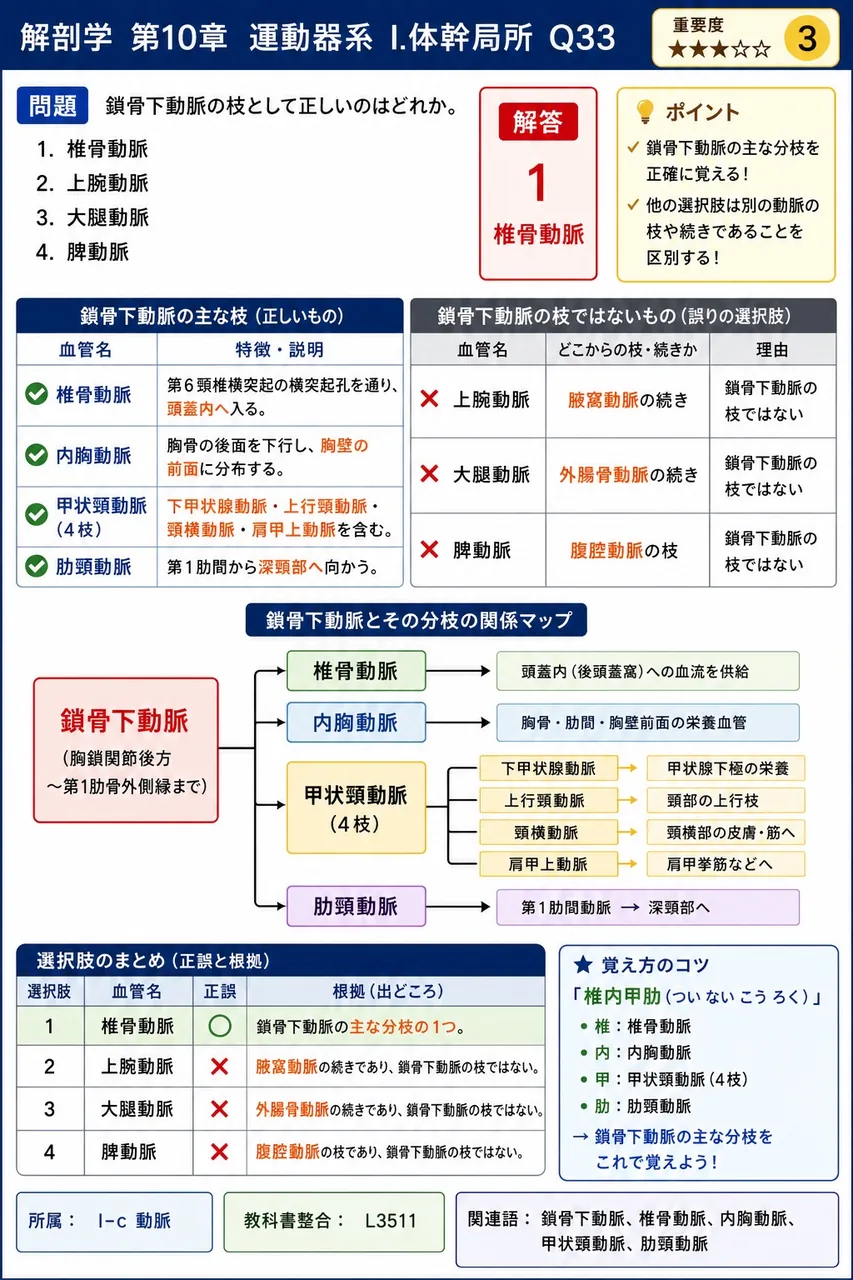 吸息時に下方へ収縮し、胸腔容積を増大させるドーム状の筋を答えよ。 解説図