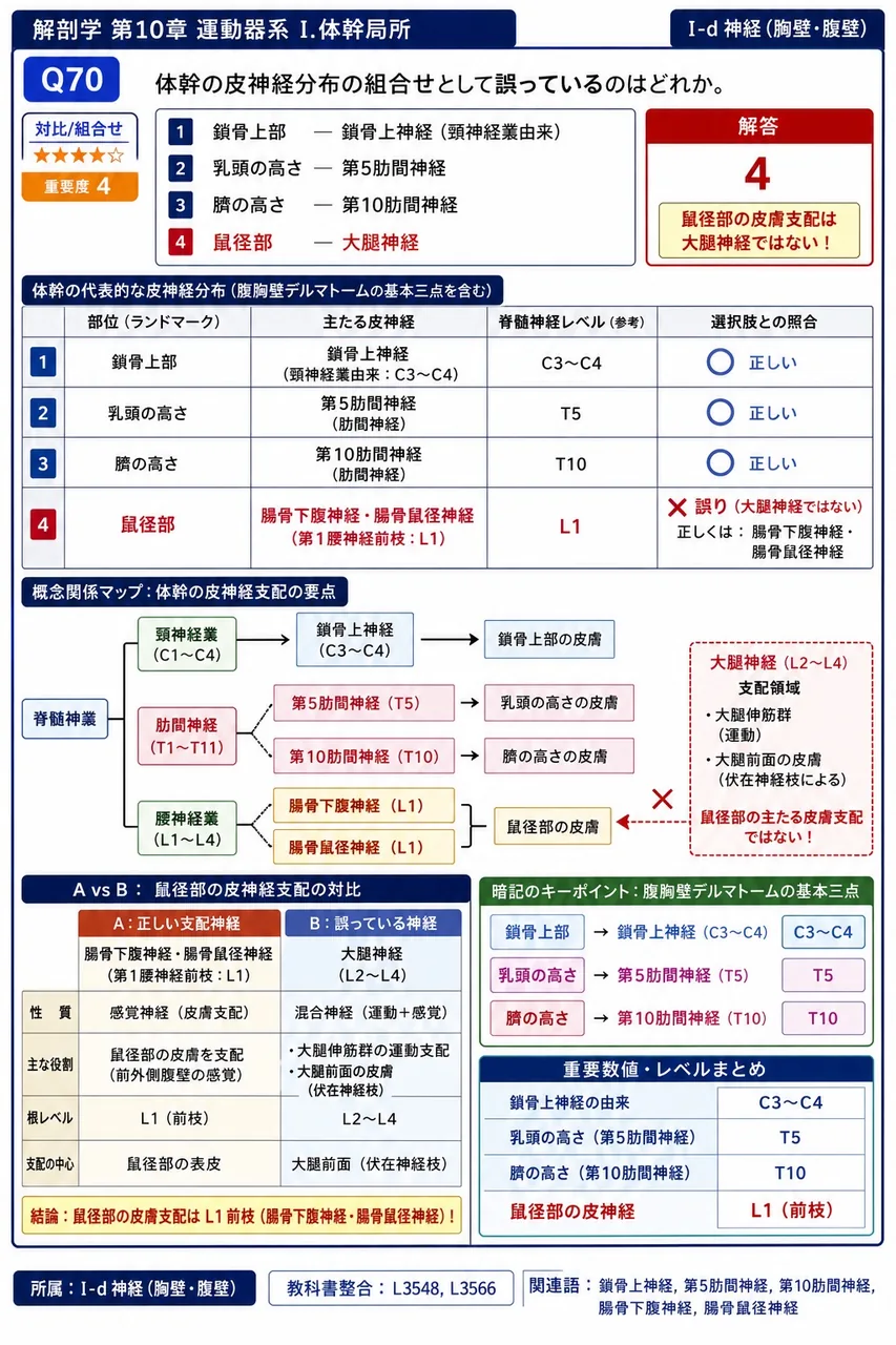 大胸筋と三角筋の間の狭い間隙と鎖骨に囲まれてできる浅い陥没部の名称を答えよ。 解説図