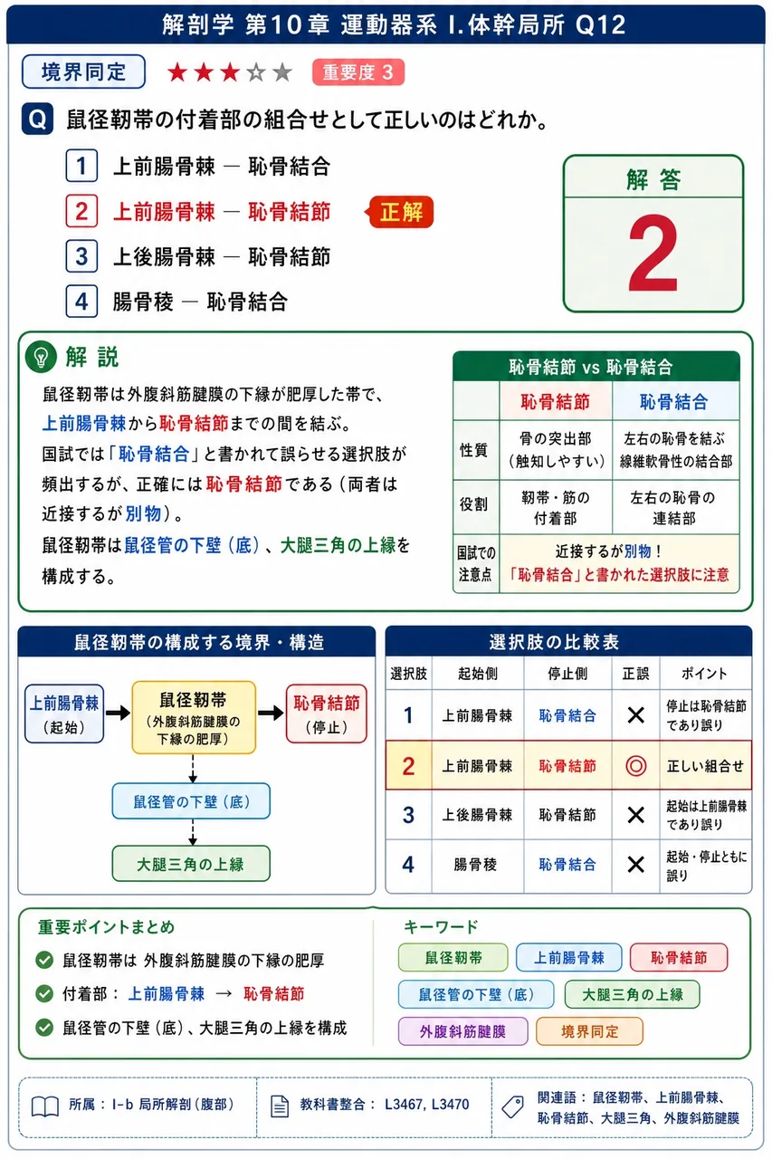 鼠径靭帯の付着部の組合せとして正しいのはどれか。 解説図