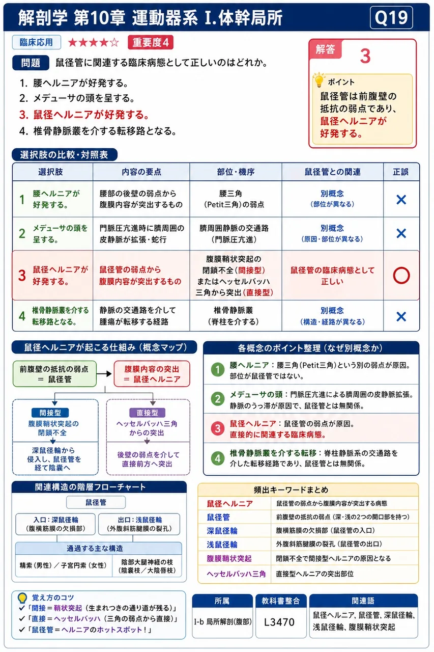 鼠径管に関連する臨床病態として正しいのはどれか。 解説図