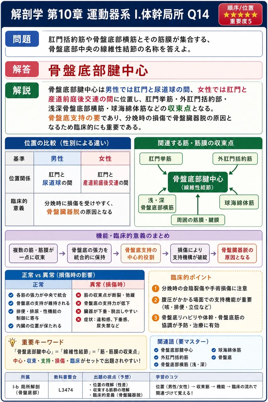 胎児循環で母体からの栄養を運んだ臍静脈が出生後に索状化した結合組織と、それを内に収めて前腹壁内面と肝臓下面の間に張る間膜の組合せとして正しいのはどれか。 解説図